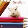 Gerbils 2011 Square 12X12 Wall Calendar