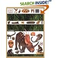 Dinosaur Encyclopedia by  Jayne Parsons