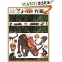 Dinosaur Encyclopedia