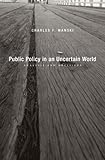 Public policy in an uncertain world : analysis and decisions