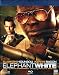 Elephant White