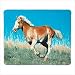 WILD MUSTANG HORSE FLEECE SOFA BLANKET THROW BED SPREAD