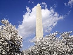 A Monumental Spring Day in Washington, D.C. Photograph - Beautiful 16"x20" Photographic Print by Carol M. Highsmith
