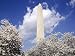 A Monumental Spring Day in Washington, D.C. Photograph - Beautiful 16"x20" Photographic Print by Carol M. Highsmith