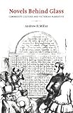 Novels behind Glass: Commodity Culture and Victorian Narrative (Literature, Culture, Theory)