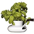 Sagaform Herb Pot