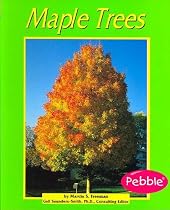 Maple Trees