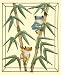 Tree Frog Wall Art