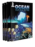 Ocean Wonders