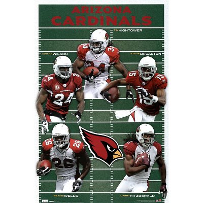 Arizona Cardinals Field Team Sports Poster Print - 22x34 custom fit with RichAndFramous Black 22 inch Poster Hangers