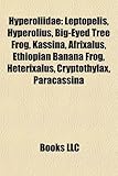 Hyperoliidae: Leptopelis, Hyperolius, Big-Eyed Tree Frog, Kassina, Afrixalus, Ethiopian Banana Frog, Heterixalus, Cryptothylax, Para-
