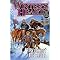 Winter's Heart (Wheel of Time Series) (Illustrated) (Hardcover)