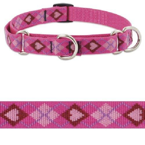 3/4" Lupine martingale (combo collar) 14"-20" Puppy Love