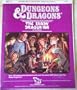 The Shady Dragon Inn (Dungeons & Dragons accessory AC1)