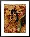 Team of Smaller African Weaver Ants Attack and Kill a Larger Ant National Geographic Collection Framed Art Poster Print by Michael Nichols, 25x31