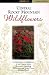 book cover unavailable