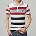 Men's Striped Polo Shirts Short Sleeves With Embroidery