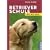 Retrieverschule f�r Welpen