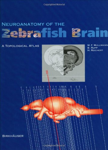 Neuroanatomy of the Zebrafish Brain: A Topological Atlas