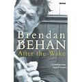 After The Wake (Classic Irish Fiction)