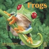 Frogs 2010 Calendar (Wall Calendar)