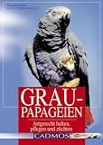 Graupapageien: Artgerecht halten, pflegen und zuechten