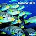 Oceans 2009. Brosch�renkalender (Grid Calendar)