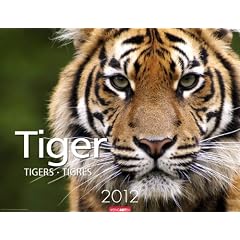 Tiger 2012