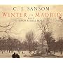 Winter in Madrid