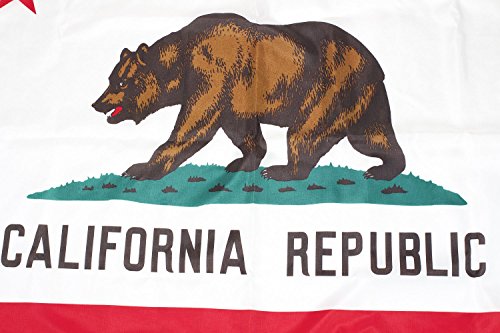 California Flag, Best Rated CA flag, 100% Made in USA, 3x5 California Republic State Flag Indoor/Outdoor with Superior Quality Nylon and Stitching from BBI Flags