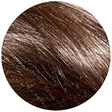 Jessica Simpson Hair Do - 22 inch Straight Clip-In Hair Extensions - Chocolate Copper Brown
