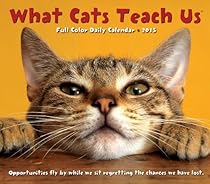 What Cats Teach Us 2015 Box Calendar What Cats Teach Us 2015 Box Calendar