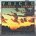 Voices Across the Canyon, Volume Five: A Canyon Records Collection
