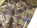 PaylessFabric com