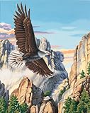 Dimensions PaintWorks/Paint By Number Soaring Eagle