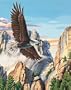 Dimensions PaintWorks/Paint By Number Soaring Eagle