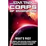 What's Past (Star Trek: SCE)