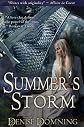 Summer's Storm
