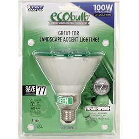 Feit Electric BPESL23PAR38T G 23-Watt PAR 38 Outdoor Compact Fluorescent Light Bulb, Green by Feit Electric