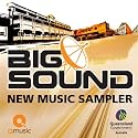 BIG SOUND 2009 Summit & Showcases