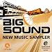 BIG SOUND 2009 Summit & Showcases
