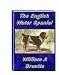 The English Water Spaniel