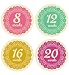 Lucy Darling Shop Pregnancy Belly Sticker - Doily - Weeks 8 - 40 (12 stickers)
