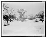 IMAGE OF Historic Print (L): [First snow of the season in Central Park, New York City]