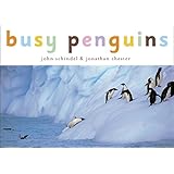 busy penguins a busy book