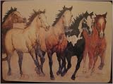 Placemats ~ Wild Horses Stepping Out ~ set of 4 corkboard 11.5 x 15 inch placemats ~ code 256