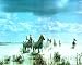 Animal Horses Running Water Studs Art Print Framed Poster Rare - 16 x 20