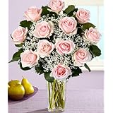 One Dozen Long Stemmed Pink Roses