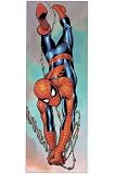 Spider-Man Door Poster
