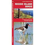 rhode island birds a folding pocket guide to familiar species pocket naturalist guide series